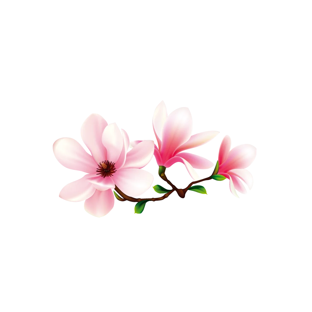 Magnolia Garden Design Vit Logotyp